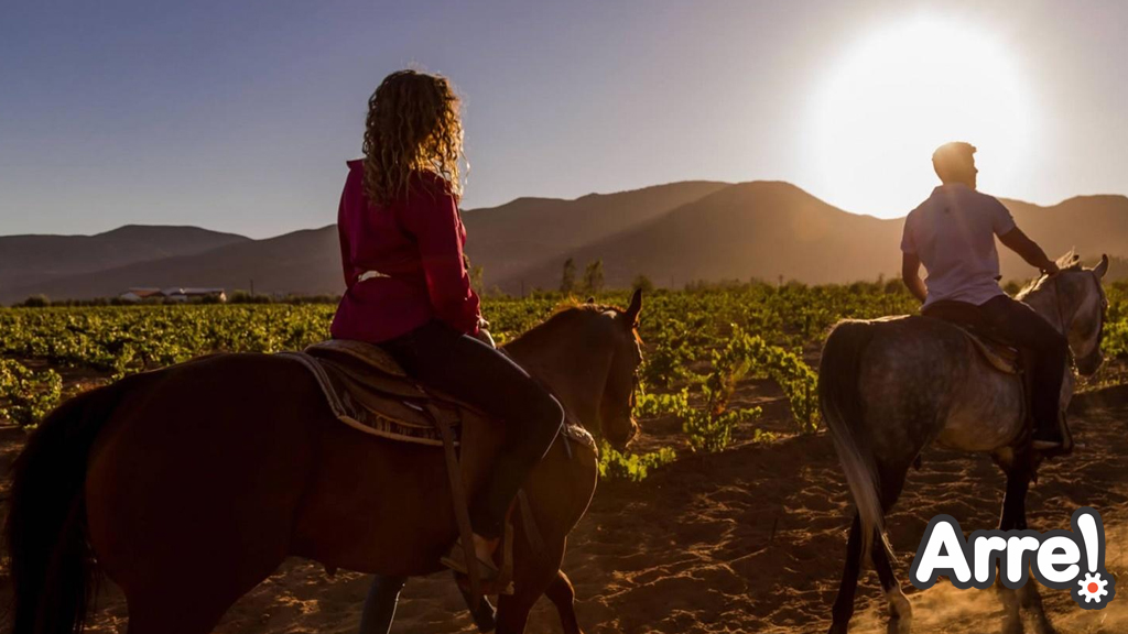 Paseo a caballo en Valle de Guadalupe con Arre!