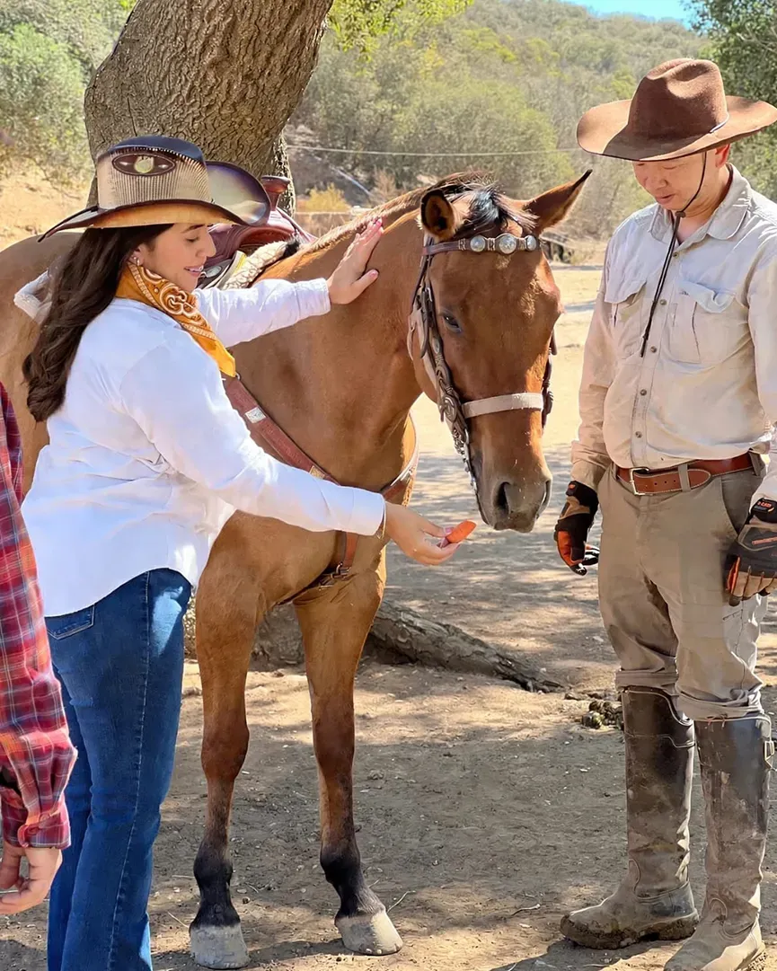 Encuentro con caballo